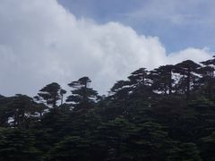 -苍山感通索道