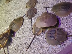 -波塞冬旅游度假区