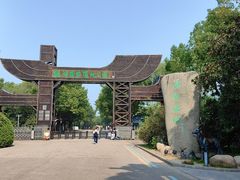 -溱湖国家湿地公园