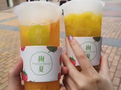 -树夏(建设路店)