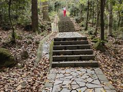 -北仑森林植物园