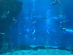 -福州罗源湾海洋世界旅游区