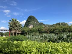 -Club Med地中海俱乐部·桂林度假村