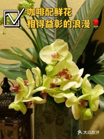 这么舒适的咖啡沙龙，你不心动吗？