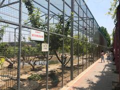 -河北村民俗体验园