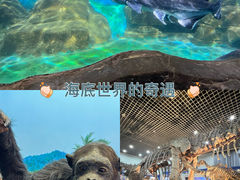 -国家自然博物馆