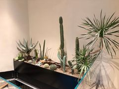 -J Create城市露营咖啡·简餐·宠物(上海动物园店)