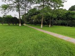 -雀儿山公园