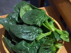 -巴奴毛肚火锅(广益哥伦布店)