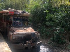 -奥兰多迪士尼动物王国乐园