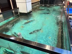-鱼痴渔醉·食鲜集(月亮湾店)