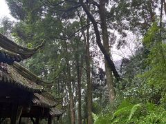 -青城山