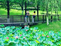-沐仙湖湿地公园