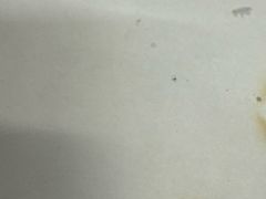 -老娘舅(西湖文化广场店)