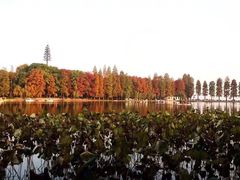 -东湖磨山景区
