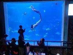 -太平洋海底世界