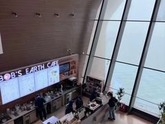 -抱抱地球咖啡馆(国家海洋博物馆店)