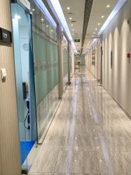 -上海首尔丽格医疗美容医院