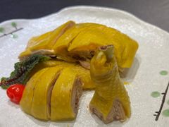 -骏莱海鲜鱼港(五角场店)