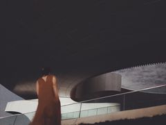 -郑东新区龙湖公共艺术中心