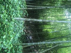 -宁波五龙潭景区