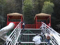 -龙湾潭国家森林公园