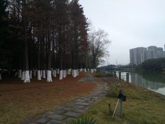 -白塘生态植物园