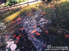 -北京动物园