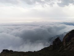 -白草畔自然风景区