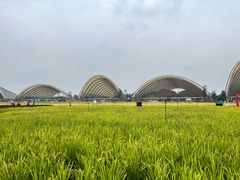 -中国天府农业博览园