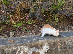 -敬亭山风景名胜区