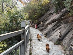 -黑龙潭风景区