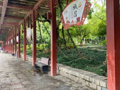 -光明港公园