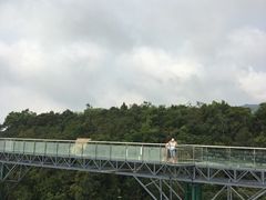 -呀诺达热带雨林