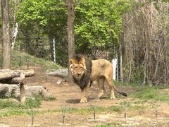 -北京野生动物园