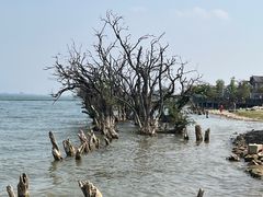 -大理洱海