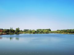 -东郊湿地公园
