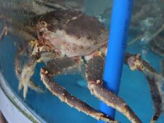 -清水湾3号(东方小周海鲜店)