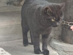 -野水沟小商品批发市场