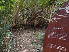 -华侨城湿地公园