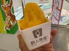 -野人先生Gelato(上海长宁龙之梦店)