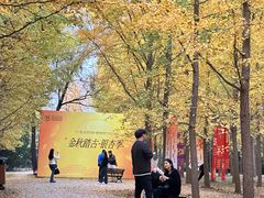 -汉景帝阳陵博物院