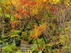 -叠溪松坪沟景区