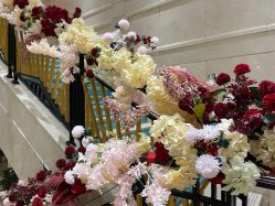 -禾丽康美医疗美容医院