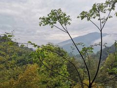 -宁波五龙潭景区