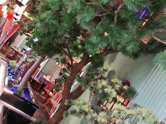 -松沪名灶·豆浆鱼头·新上海菜(飞航吾悦广场店)