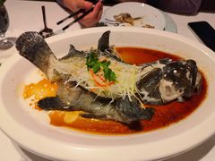 -珍呈中餐厅•粤川淮扬新疆(乌鲁木齐康莱德酒店)