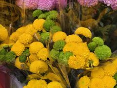 -越秀西湖花市(广州城市广场花卉店)