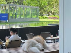 -SAANCI山池咖啡(海上世界文化艺术中心店)