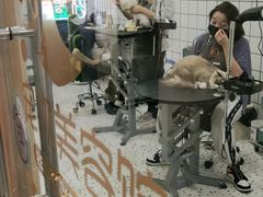 -BABIT巴比特宠物(MOMOPARK店)